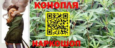 стафф Ставрополь