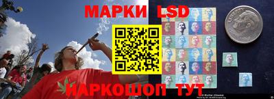 стафф Ставрополь