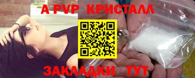 стафф Ставрополь
