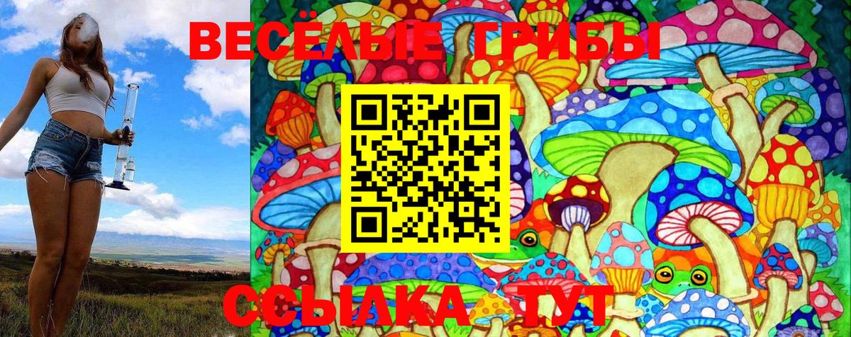 Галлюциногенные грибы MAGIC MUSHROOMS Полысаево