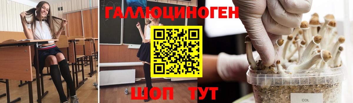 Полысаево  Псилоцибиновые грибы Cubensis  Вход с VPN  Псилоцибиновые грибы Magic Shrooms 